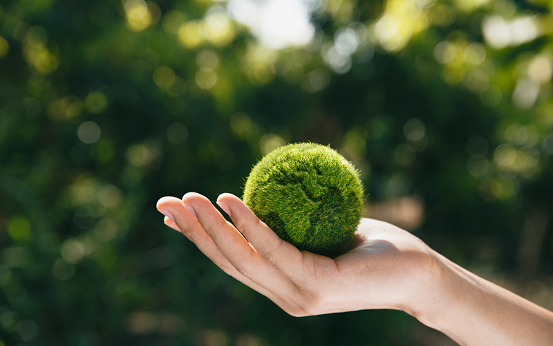 申博太阳城·(中国)官方网站